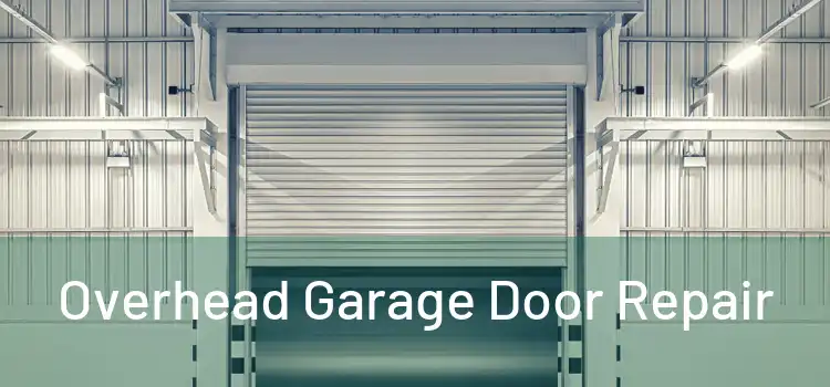  Overhead Garage Door Repair 